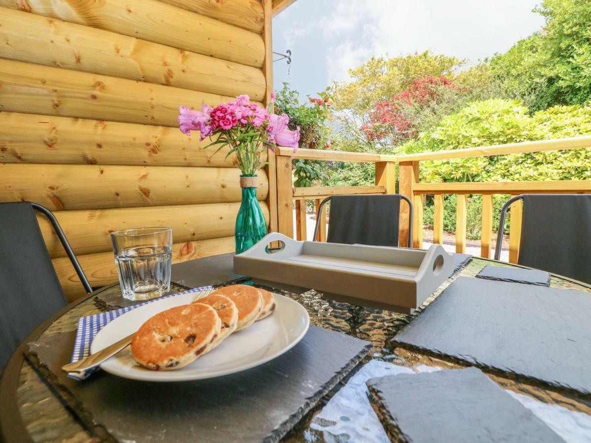 Willow Lodge Tenby Extérieur photo